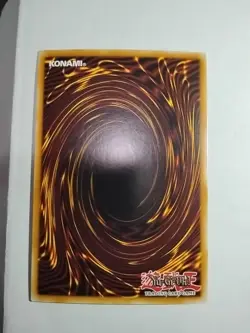 Dark Dragon Ritual - DRL2-EN019 - Super Rare - 1st Edition NM YuGiOh! Dragons o - Image 3