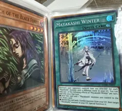 Spellcaster Card Collection With Binder (Yugioh/magic The Gathering) 60 Cards - Image 4