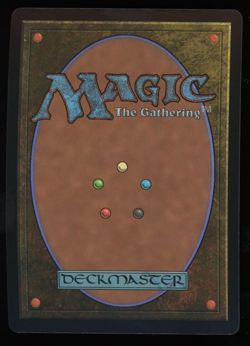 Banner of Kinship - MANA FOIL - Borderless - MTG Foundations - RareCo - Image 2
