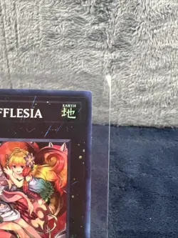 Yugioh Traptrix Rafflesia RA02-EN034 Quarter Century Rare 1st Ed NM - Image 3