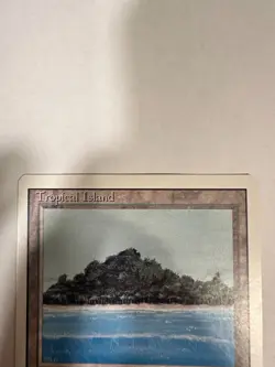 Magic the Gathering MTG Tropical Island - Revised Edition NM - Image 3