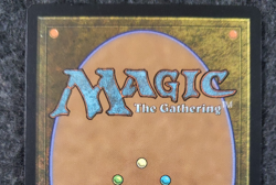 Abzan Falconer - UNPlayed MTG Commander 2021 Midnight Hunt ............(DS3D1K5) - Image 4