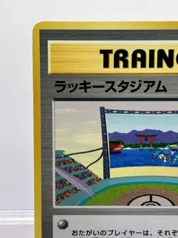 Chugoku / Shikoku Lucky Stadium Gyarados Japanese Trainer Promo Pokemon EX! - Image 4