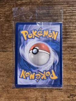 Flutter Mane Sealed Promo SVP EN 097 Black Star Temporal Forces Pokemon Card - Image 4