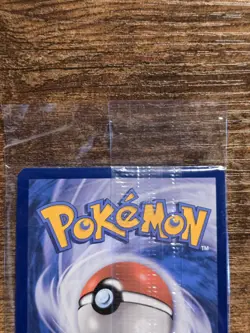 Flutter Mane Sealed Promo SVP EN 097 Black Star Temporal Forces Pokemon Card - Image 5