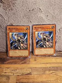Yugioh Card "The Unfriendly Amazon" LON-KR031 Korean Ver Common x2 - Image 1