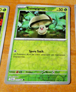 POKEMON FOUDRE NOIRE CARD REVERSE HOLO CARTE 010/086 BLK FR EV10.5 FR MINT 2025 - Image 1
