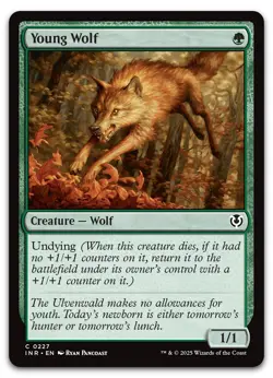 Young Wolf #227 (NM) Innistrad Remastered INR Magic MTG - Image 1