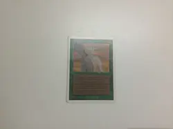 Camouflage (unlimited) (2nd) MTG Magic the gathering - Image 2