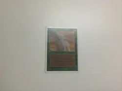 Camouflage (unlimited) (2nd) MTG Magic the gathering - Image 3