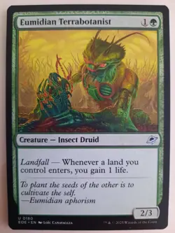 Eumidian Terrabotanist #0180 Edge of Eternities MTG Magic NM X 2 Copies - Image 1