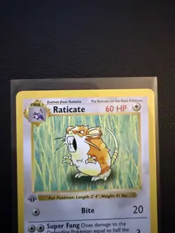 RATICATE Pokemon Card - WOTC - 1st Edition - Base Set - Shadowless - 40/102 - NM - Image 3