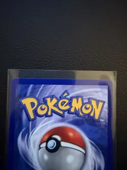 RATICATE Pokemon Card - WOTC - 1st Edition - Base Set - Shadowless - 40/102 - NM - Image 5