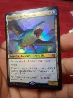 MTG-Shabraz, the Skyshark- 014/322-(M)-C20-(LP) - Image 4