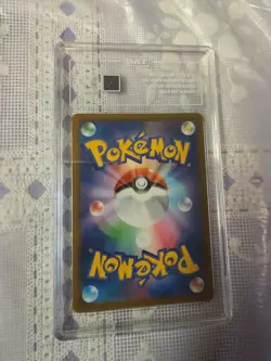 Mightyena 072/067 CHR Full Art s9a Battle Region Japanese Pokemon TCG - Image 2