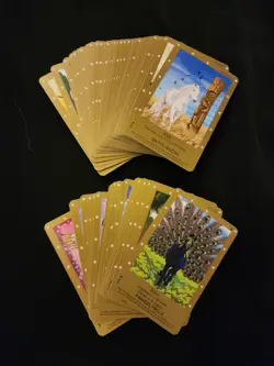 Bella Sara Card Lot 169 Cards 8 Foils No Duplicates - Image 5