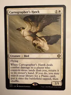 Cartographer's Hawk [Starter Commander Decks] Magic MTG - Image 1