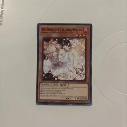 Yugioh! Ash Blossom & Joyous Spring - SDCB-EN014 - Common - 1st Edition NM! - Image 2