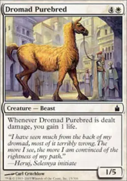 Dromad Purebred -Foil Medium Play MTG Ravnica - Image 1