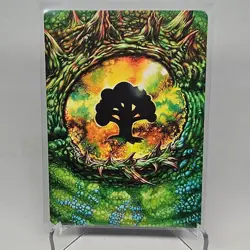 MTG Forest Art Card (32/54) Tarkir Dragonstorm TDM - Image 1