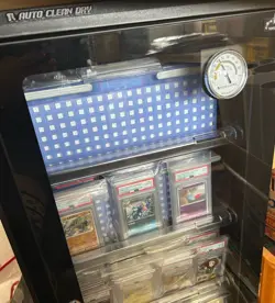 PSA10 One Owner SAR Matsuba's Conviction Gengar Support Pokemon Card - Image 3