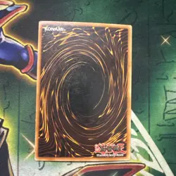 Yugioh! Dark Magician FL1-EN002 Secret Rare Limited Edition LP - Image 3