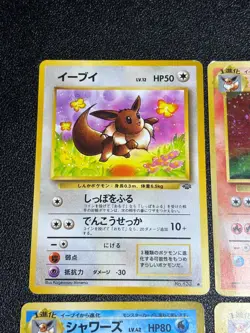 (MP) Eevee Vaporeon Jolteon Flareon Holo Jungle 4set Pokemon Card - Image 2