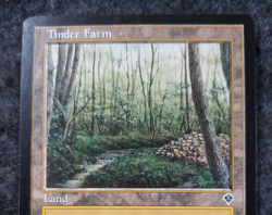 Tinder Farm Magic The Gathering Invasion No play MTG MINT ............(DS3D1K6) - Image 3