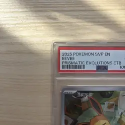 Pokemon Eevee SV173 Prismatic Evolutions Promo PSA 10 GEM MINT - Image 3