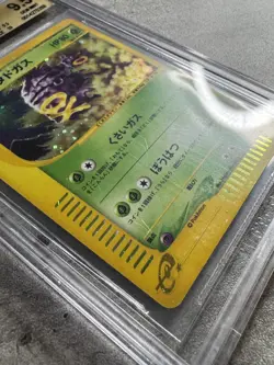 Pokemon Card JPN 1st Ed Weezing Holo Rare BGS 9.5 Mint, Expedition #101 2001 (1) - Image 5