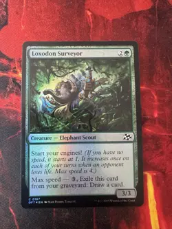 MTG - Loxodon Surveyor - DFT - 0167 - Foil - Image 1