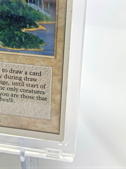 UNLIMITED - Island Sanctuary - MP-HP MTG Magic the Gathering Card in Holder - Image 4