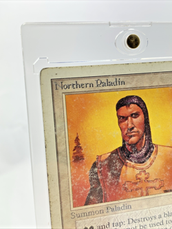 UNLIMITED - Northern Paladin - MP-HP MTG Magic the Gathering Card in Holder - Image 2