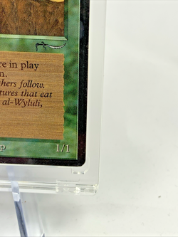 ARABIAN NIGHTS - Wyluli Wolf (Light) - MP-HP MTG Magic the Gathering Card - Image 4