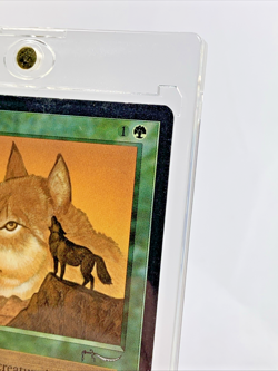 ARABIAN NIGHTS - Wyluli Wolf (Light) - MP-HP MTG Magic the Gathering Card - Image 5