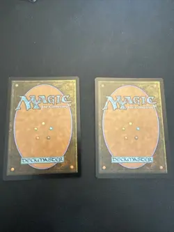 Thrumming Hivepool (Extended Art) Edge of Eternities Foil - 0356 - MTG X 2 - Image 2