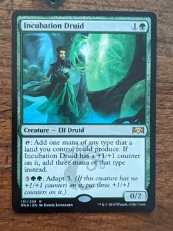 Incubation Druid - Ravnica Allegiance - NM - Magic: The Gathering - MTG - Image 1