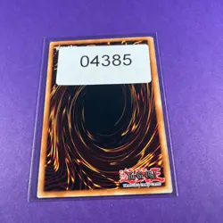 Saffira, Queen of Dragons OP24-EN021 Yugioh Playset x2 Trading Card TCG - Image 4