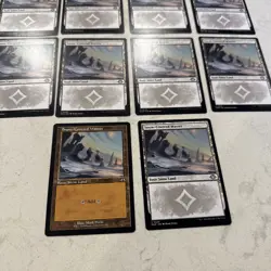 Magic the Gathering MTG Snow-covered Wastes Set Of 10 Cards - Image 2