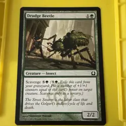MTG Return to Ravnica Drudge Beetle 122/274 NM - Image 1