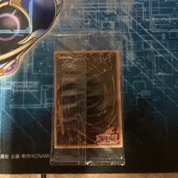 Yugioh Infinite Forbidden Token TKN5-EN006 INFO Dark Magician & Yami Yugi Sealed - Image 4
