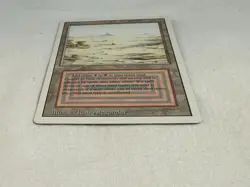 Magic the Gathering MTG Badlands Revised Edition Dual Land LP - Image 3