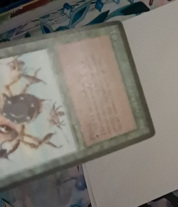 Killer Bees MP Legends MTG Magic the Gathering - Image 4