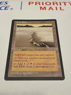 Magic The Gathering MTG - Salt Flats - Tempest - Image 1