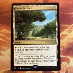 MTG 5 x Rare Land (Dimir) Commander: Innistrad: Midnight Hunt NM!! - Image 4