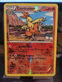 Pokemon TCG Dark Explorers Combusken Reverse Holo Uncommon 16/108 NM/M Condition - Image 1