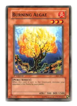 Burning Algae - IOC-062 1st Edition - YuGiOh-LP - Image 1
