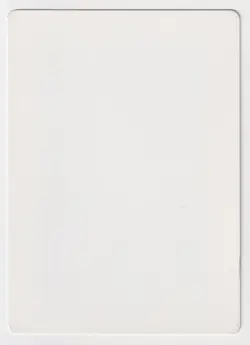 Signed Immolation Proof LP Legends Artist Scott Kirschner 1994 WOTC MTG Magic AP - Image 2