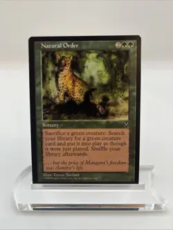 Natural Order Visions 1996 Near Mint Mtg Magic The Gathering Terese Nielsen - Image 1