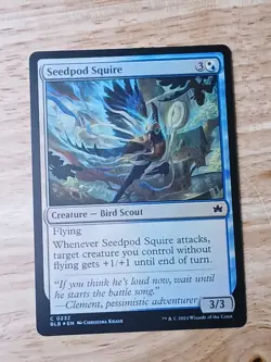 MTG Seedpod Squire Foil Bloomburrow NM - Image 1